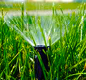 grass sprinkler